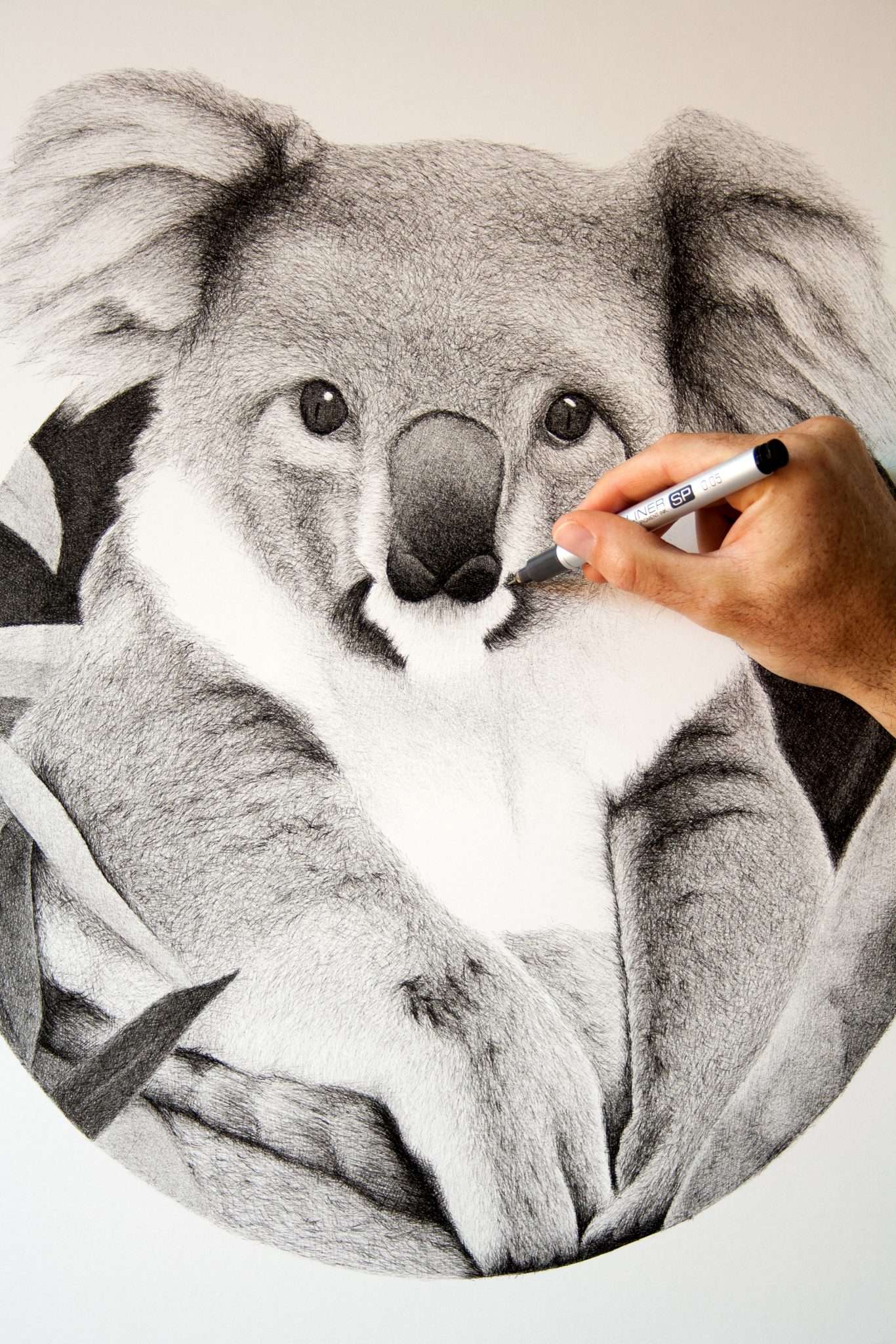 Australia series