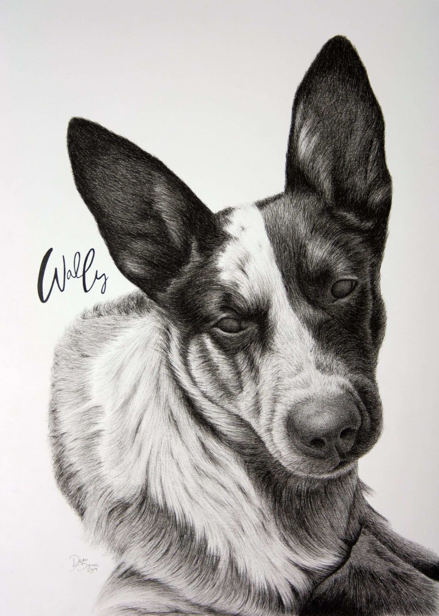 Wally the Dog