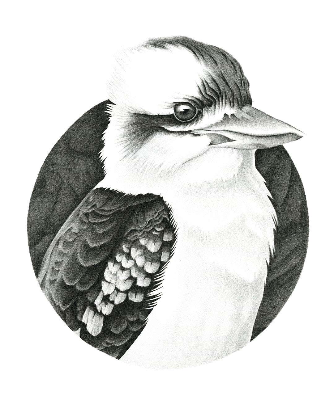 Australian Natives - set of three | Original Artwork - Image 6