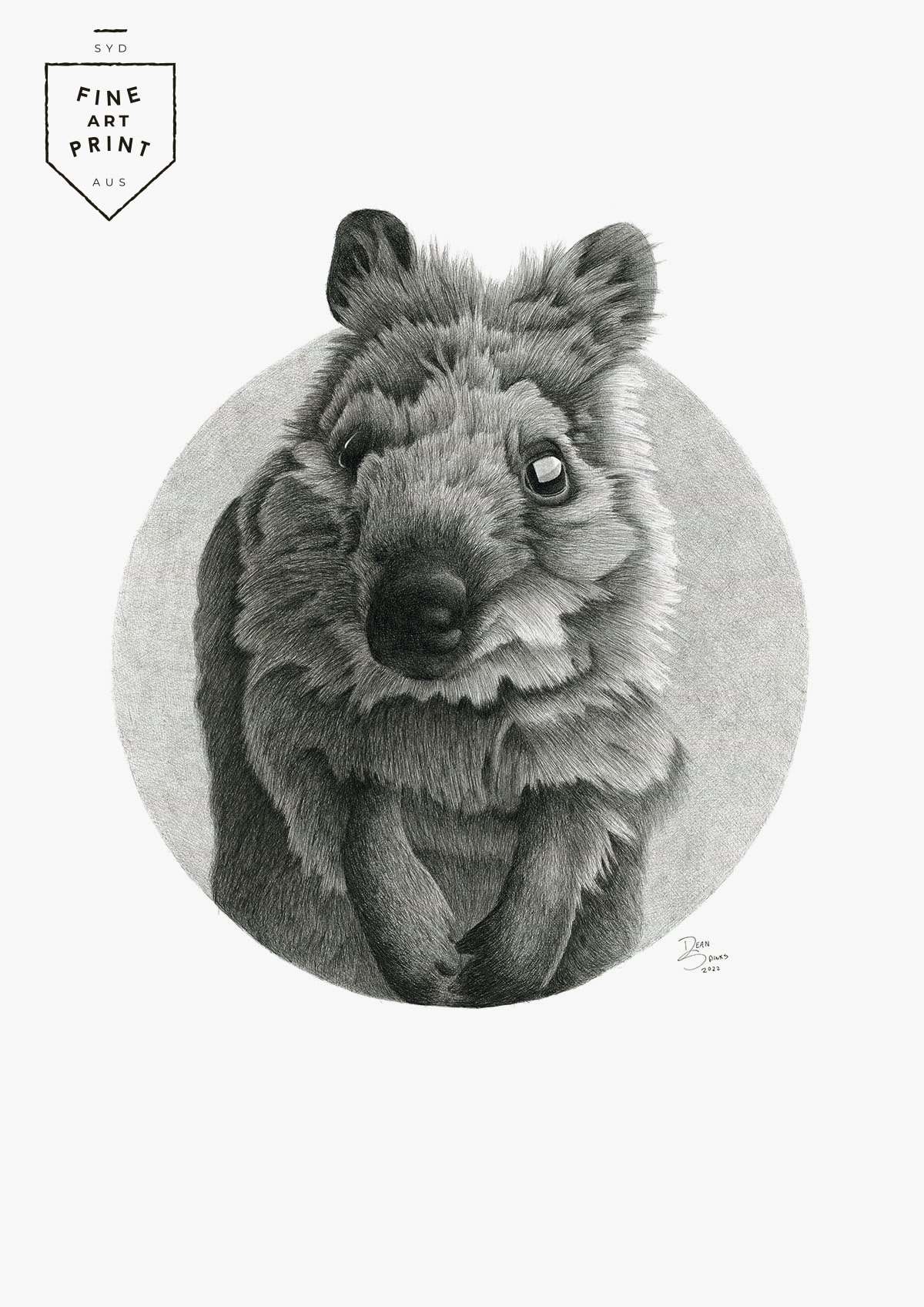 Quokka | Print
