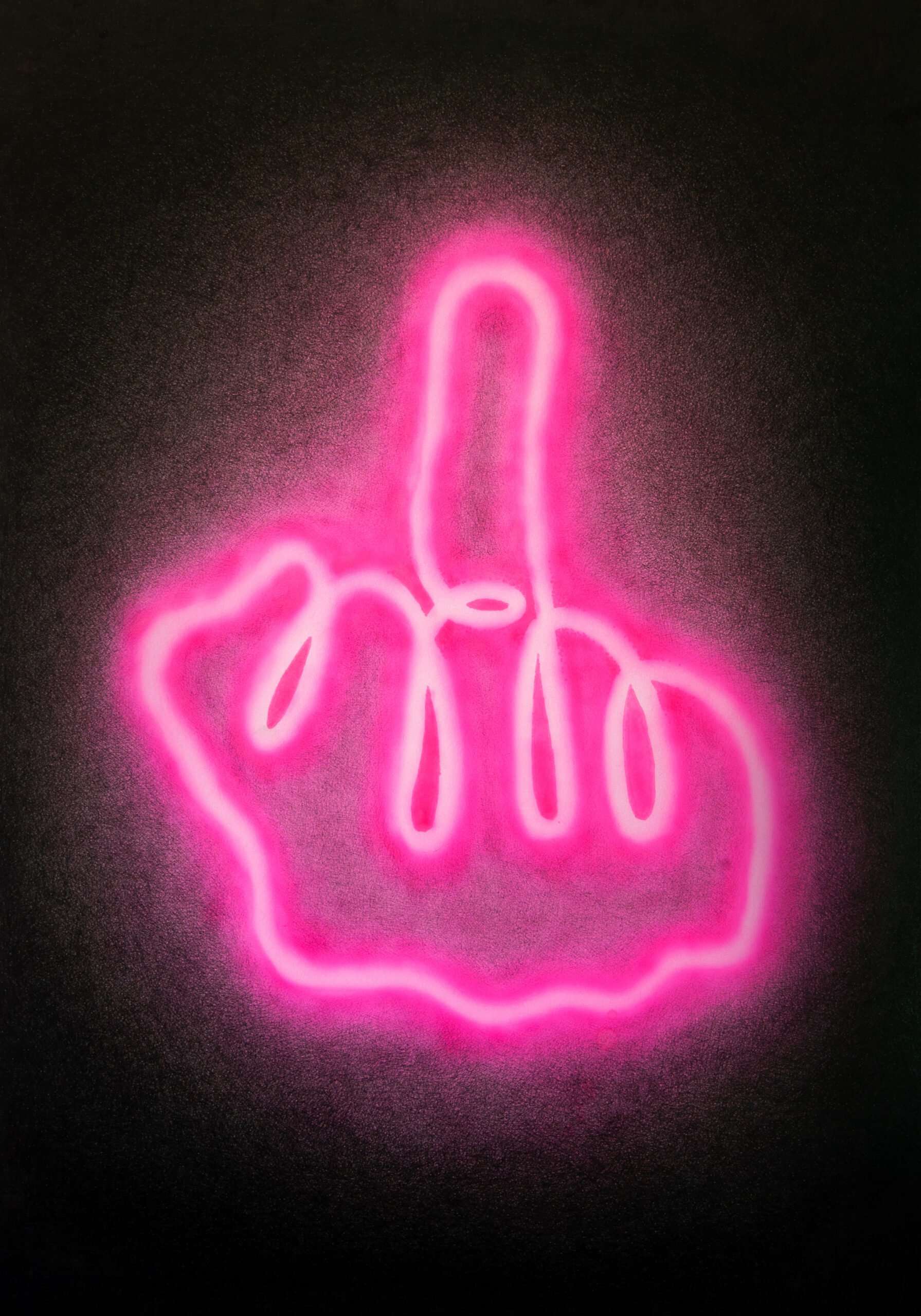 Flip 'em The Bird Dean Spinks Art