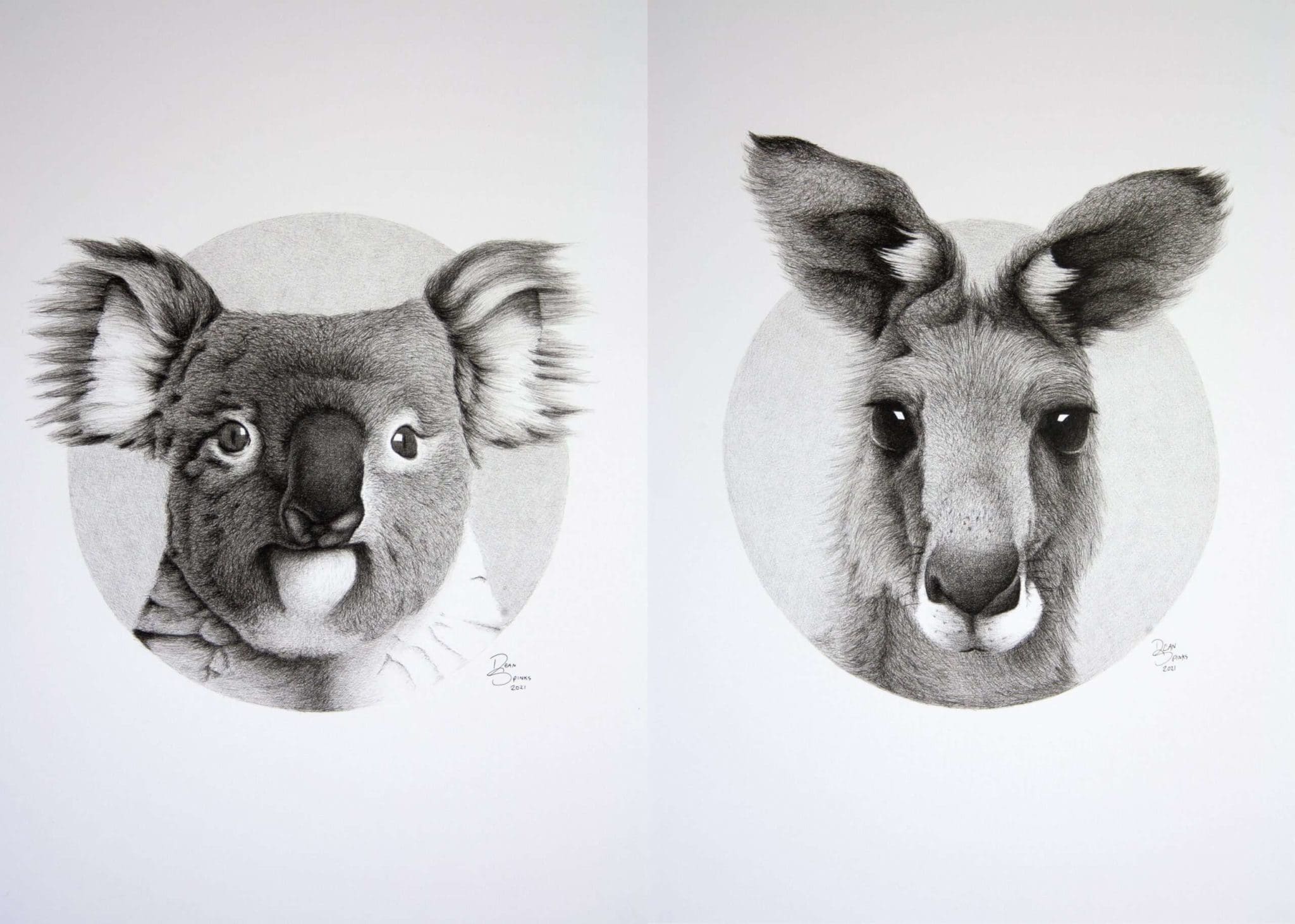 Koala and Kangaroo Duo