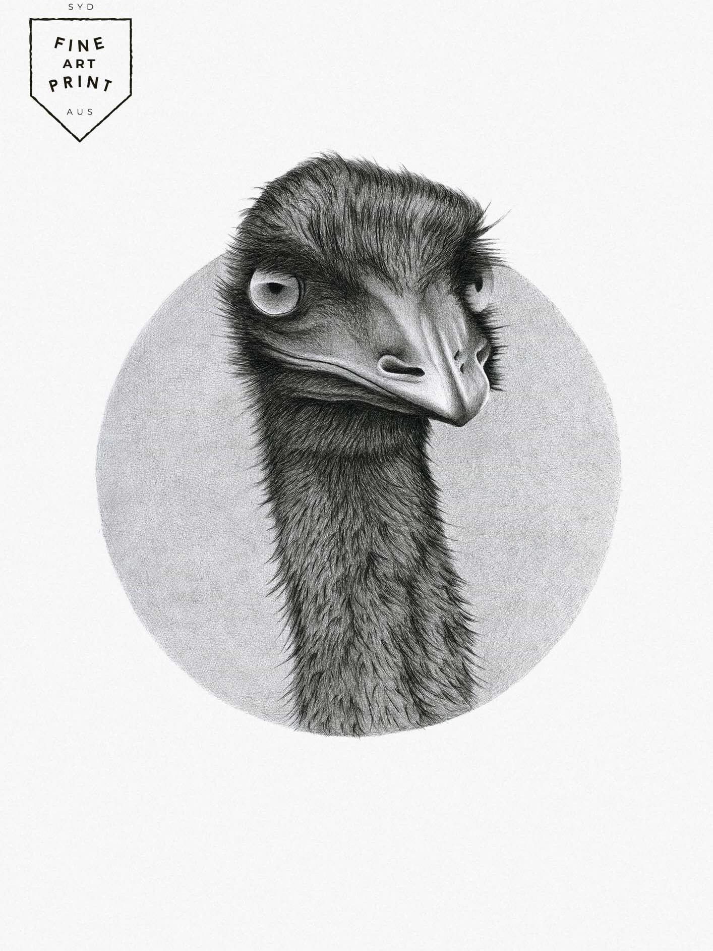 Emu art print