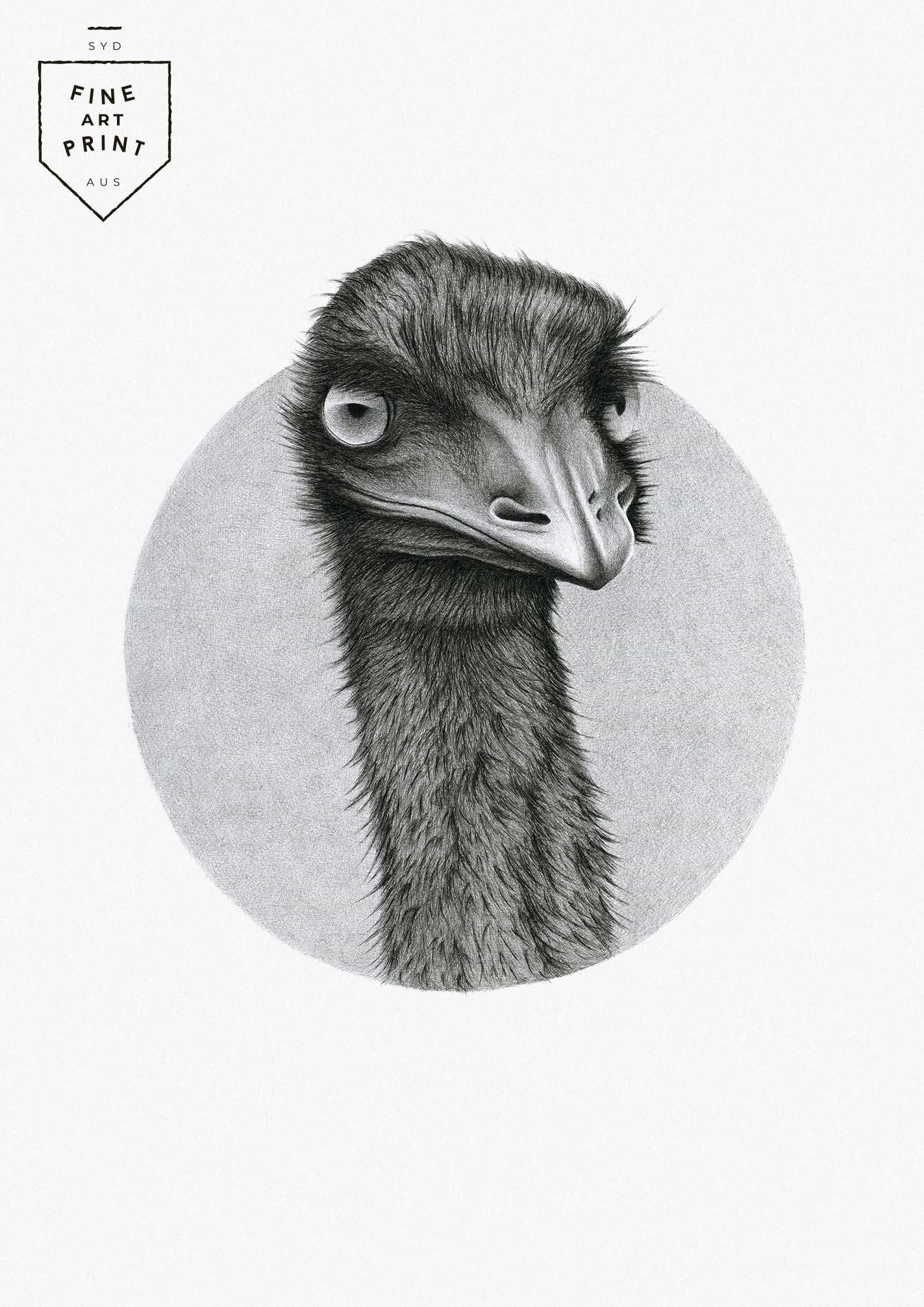 Emu art print