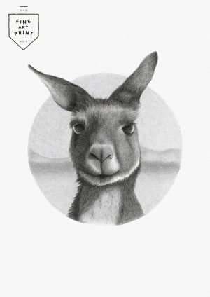 Kangaroo | Print