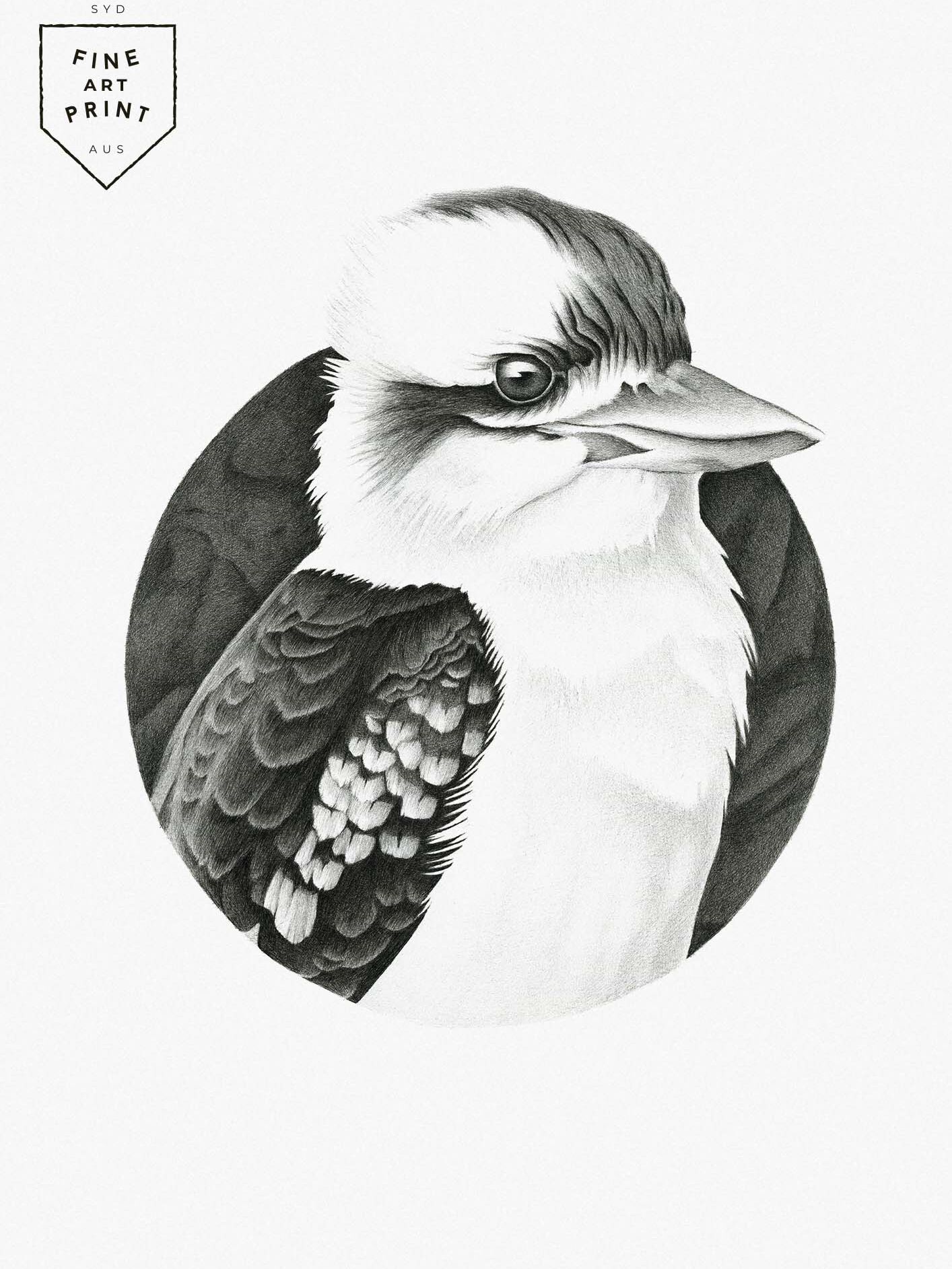 Kookaburra fine art print