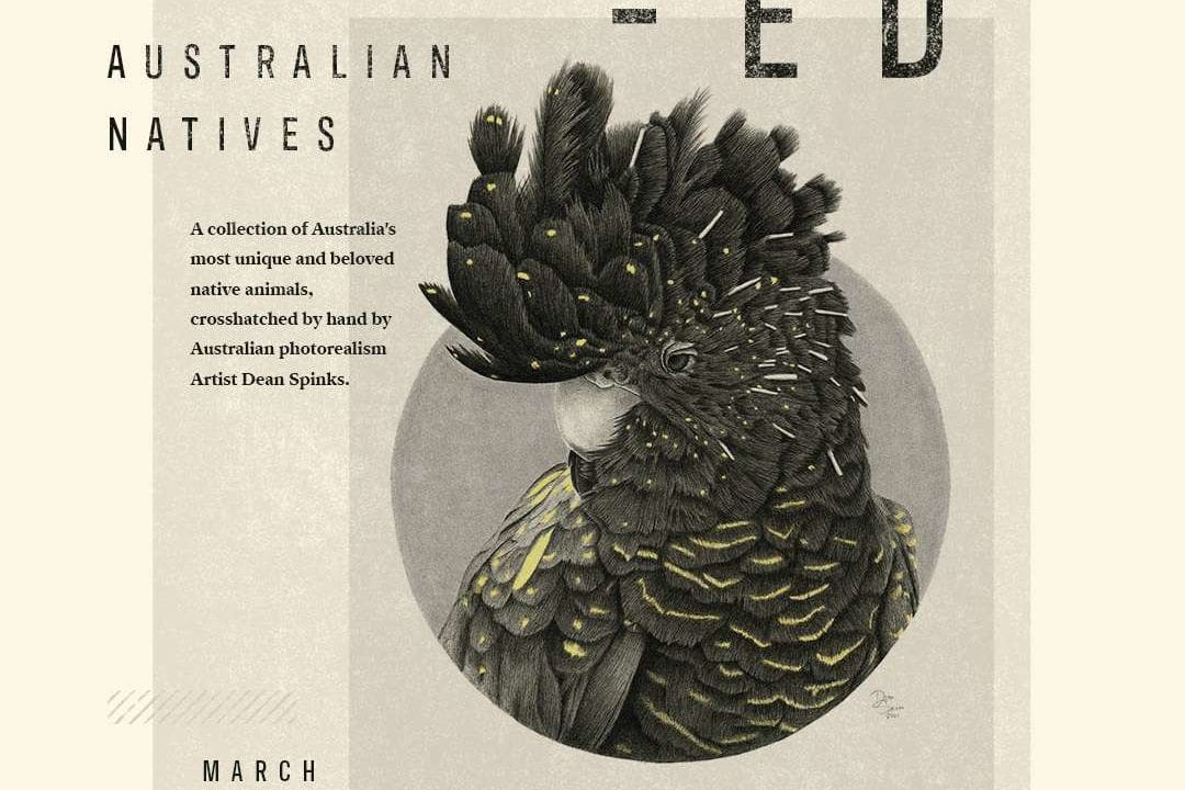 Hatched Australian Natives show poster Gallery 11:11
