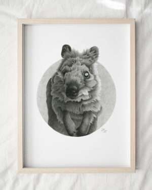 Australian Native Quokka framed artwork