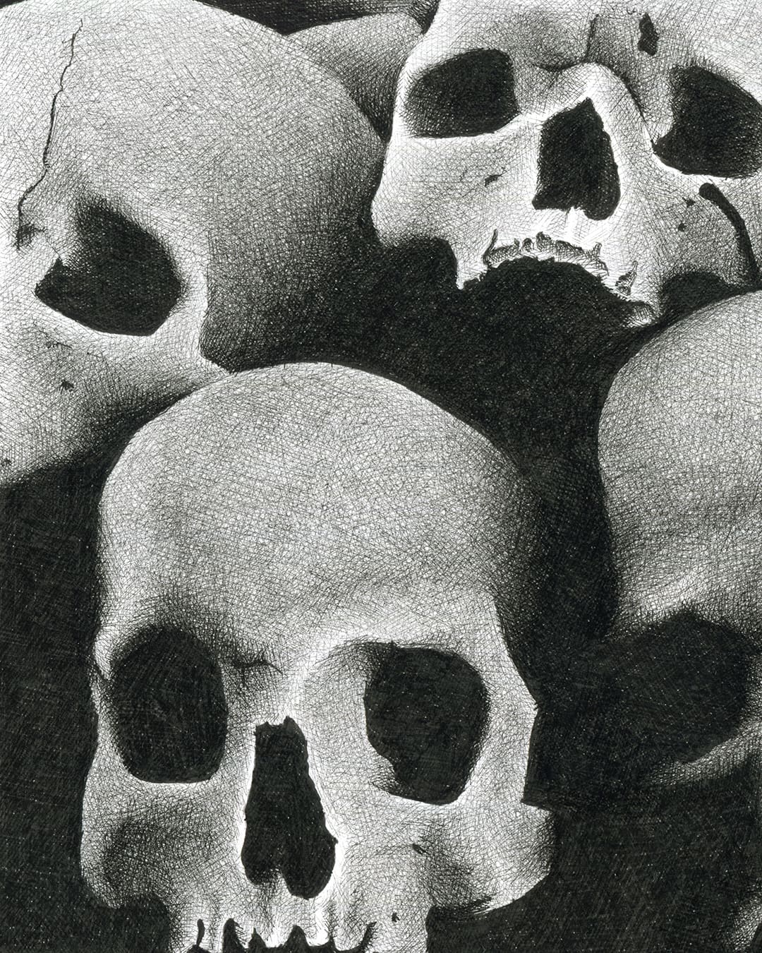 closeup of skulls drawn in crosshatching style with copic markers